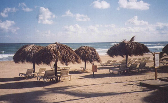 Beach (Excellence Punta Cana)