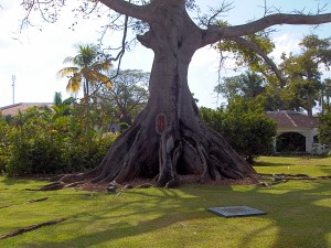 Breezes Negril